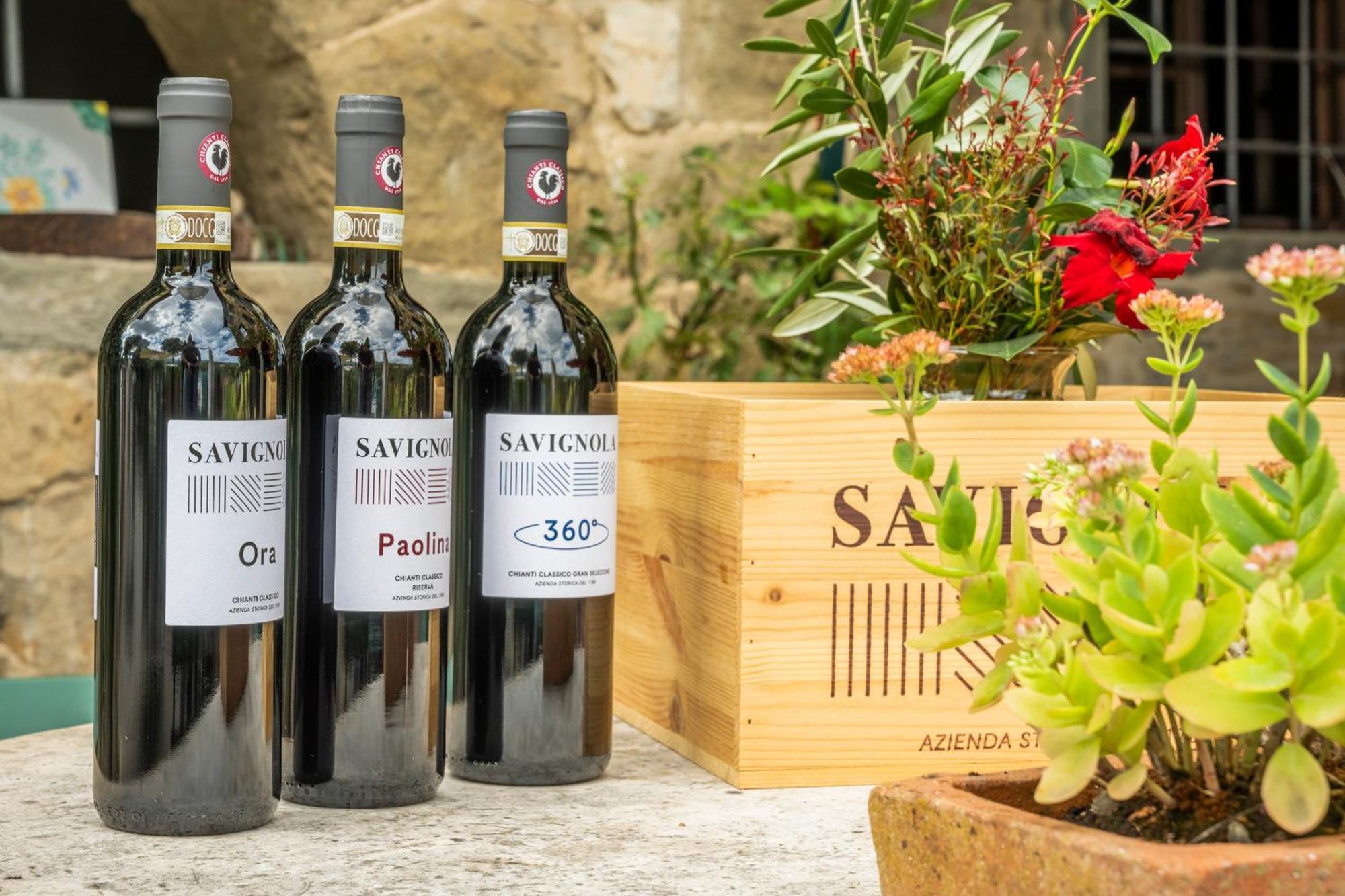 Savignola Paolina Villa Greve in Chianti Kültér fotó